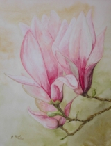 Magnolien 2 - Oktober 2006