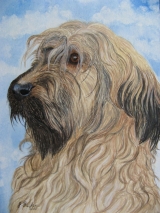 Amy Maerz - 2010