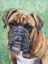 Nando - Mai 2011
