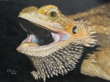 Bartagame