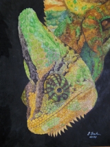 Jemenchamaeleon Jack