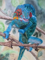 Pantherchamaeleon