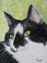 Max - Mai 2011