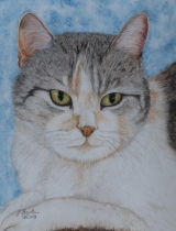 Sheila November 2018