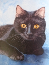 Lucifer Juli 2019