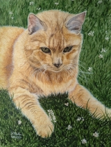 Casimir August 2019