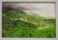 Bergland von Luzon Philippinen Juli 2002