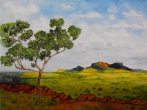 Australisches Outback August 2005